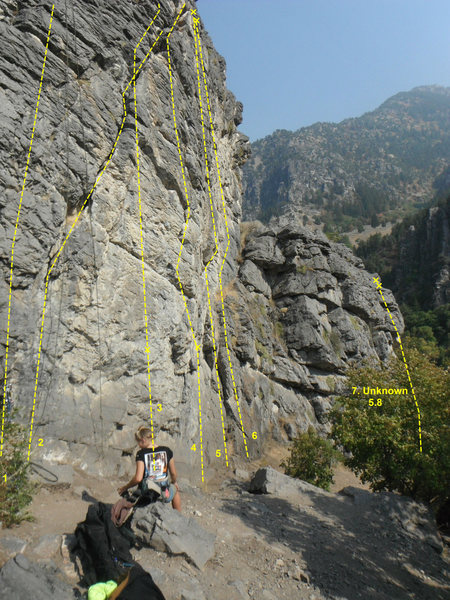 Left to right:<br>
1. The Lost Bolt 5.7<br>
2. Slant Crack 5.5<br>
3. One eyed rosie 5.11 a<br>
4. Jolly Mon 5.10b/c<br>
5. Short-Handed Goal 5.11 a<br>
6. Alyosha 5. 11 a<br>
7. Unknown 5.8