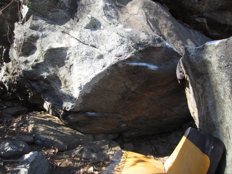 Meltwater Assis (V4)