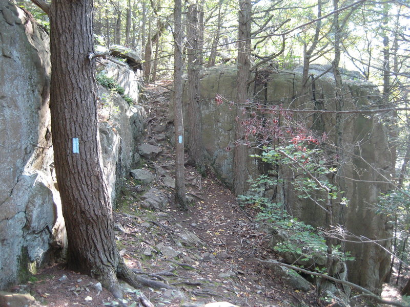 Hiking south from Rt. 6, the Metacomet trail goes over the crag. Descend right at this point for crag base.