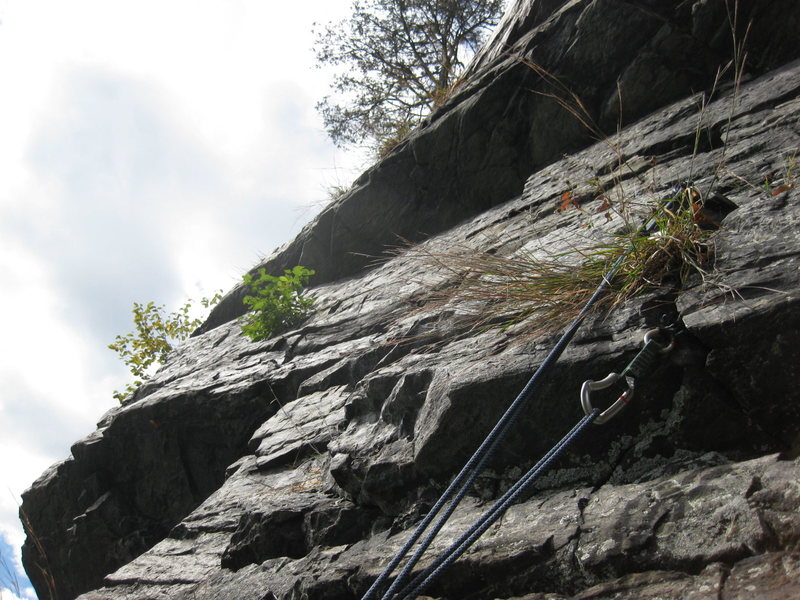 closer view at the roof