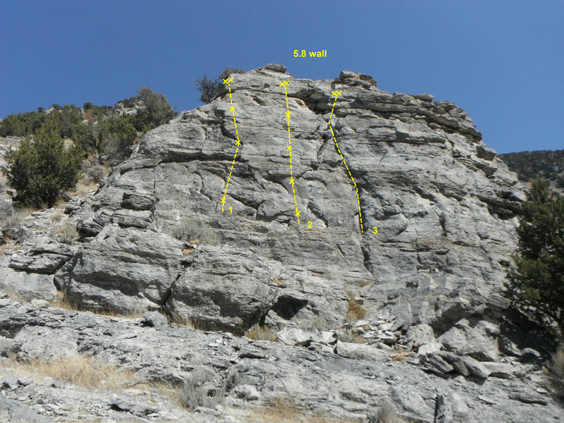 Left to Right:<br>
1. Brier Rabbit 5.9<br>
2. Petrified 5.8<br>
3. Fossilized 5.7