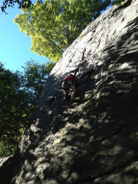 Zi on Nemosis