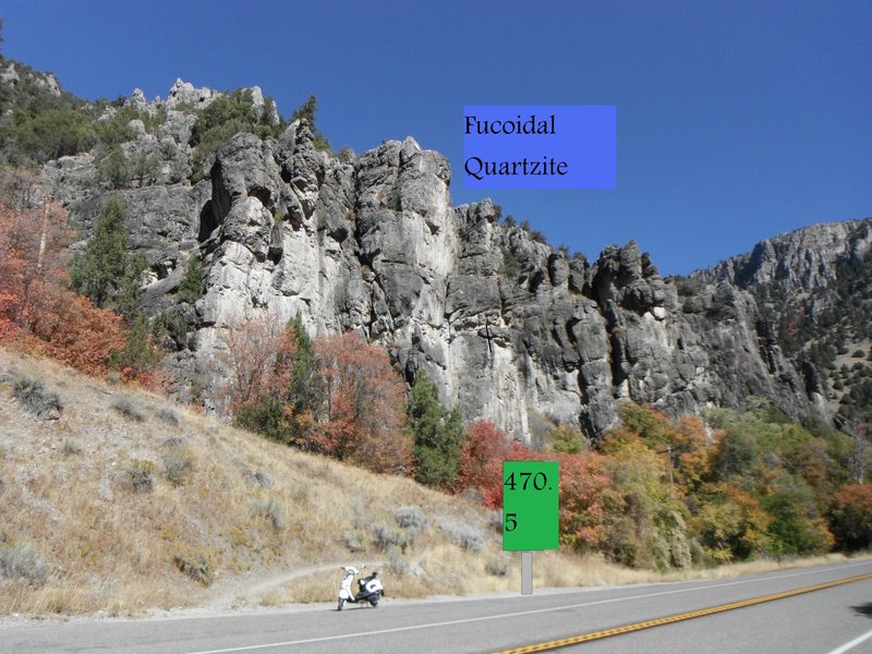 Fucoidal Quartzite from the road
