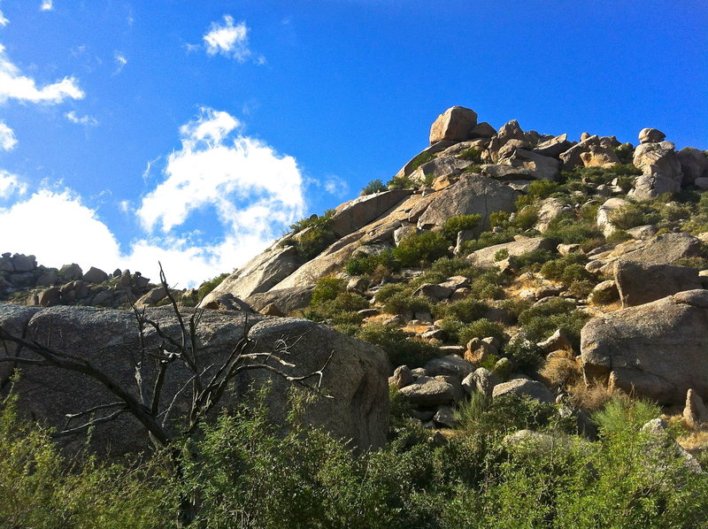 The Girlie Man area is most easily identified by the small slab to the right of the large low angle dihedral. The slab has a distinct finger crack visible from the wash before the final sign marking the climbers trail.