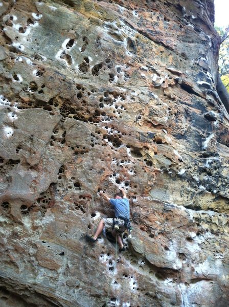 Scott showing good form on his OSA of "Tissue Tiger".