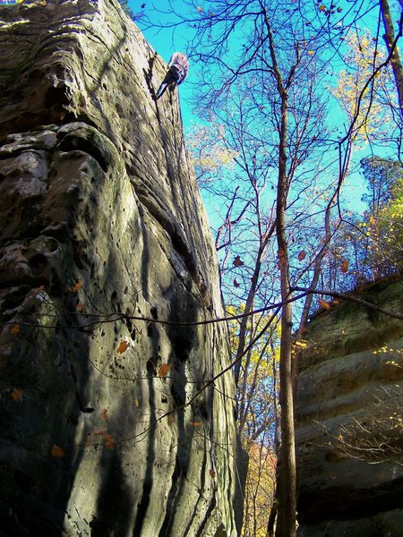 Climber on Stubborn Swede Great climb