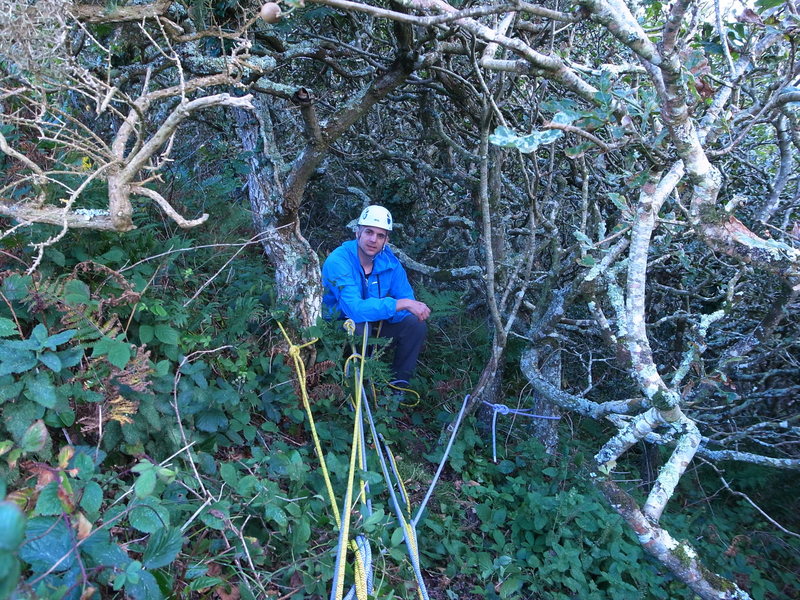 tempter belay