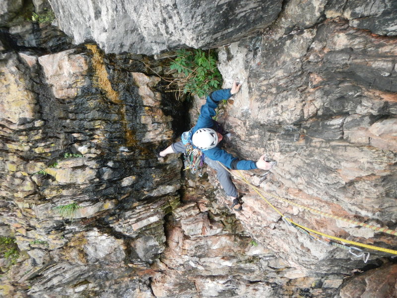 pitch 1