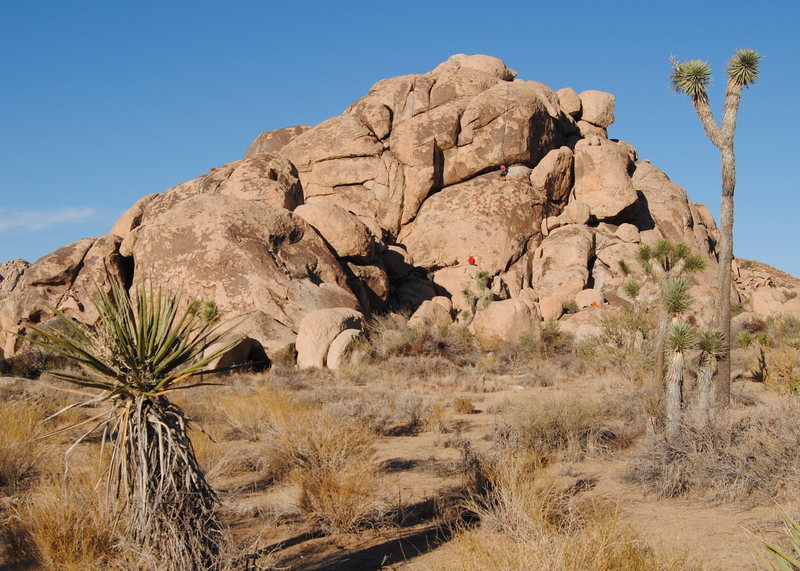 Reggie Dome from the Southwest.<br>
Photo by Blitzo.