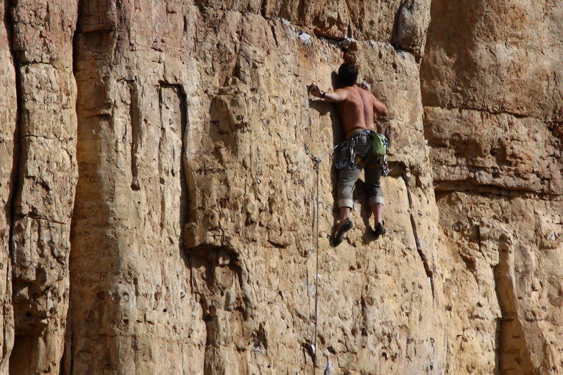 Austin on Partners.