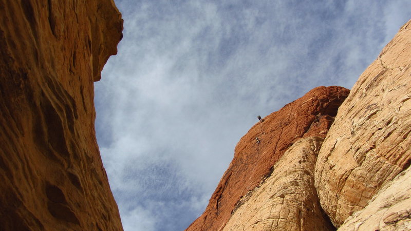 Climbing Man's Best Friend