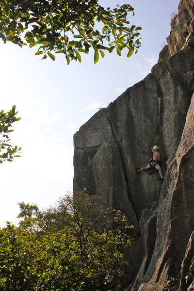 Joe on Spitting Cobra