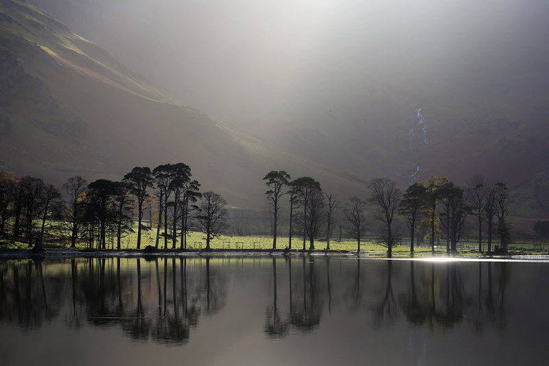 Buttermere Pines by Stuart Holmes