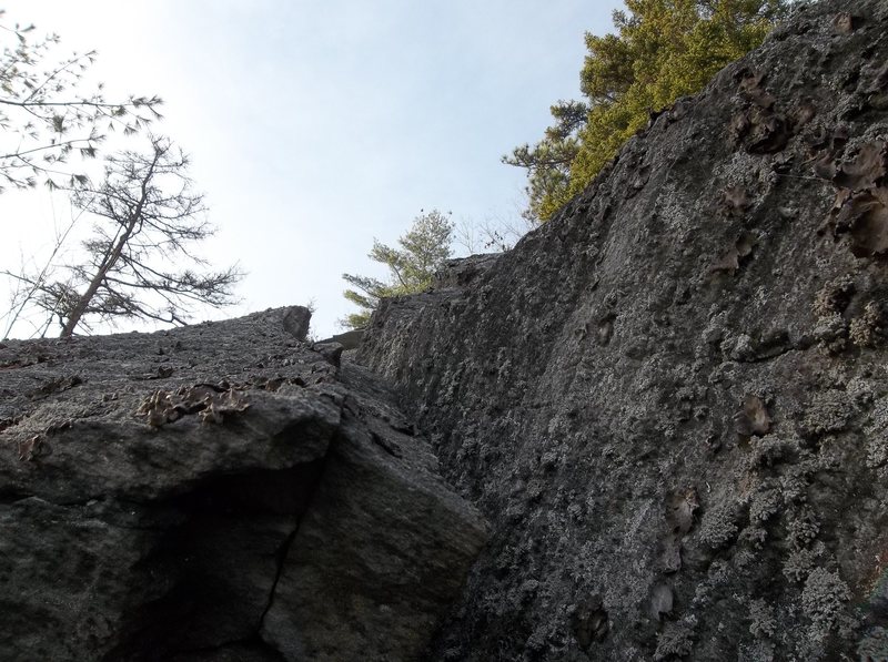 Upper part of the off width. It's not the climbing that has kept me from doing it, its not the lichen, its lower down the wall is covered in dustiness and grit. Really bad footing.