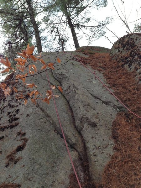 Pipeline Flake.