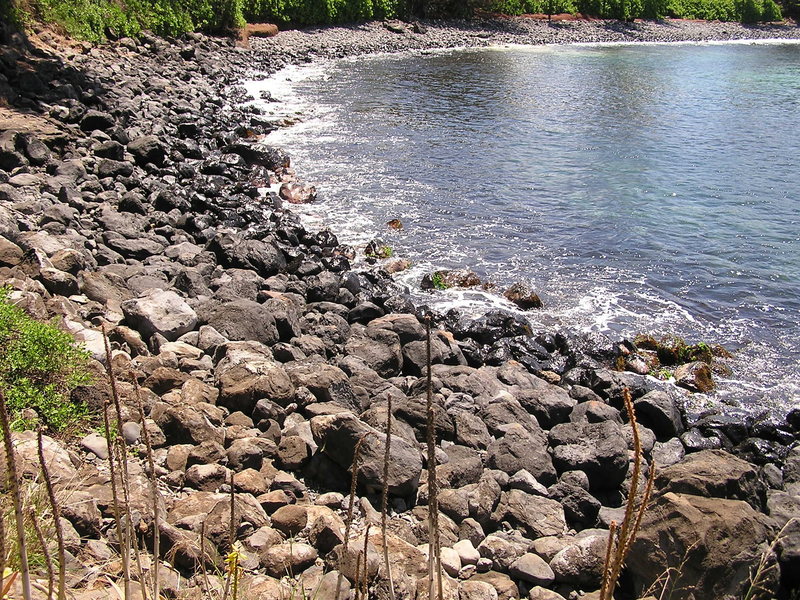 Rocky shore line in the back of the bay<br>
Photo: Olaf Mitchell