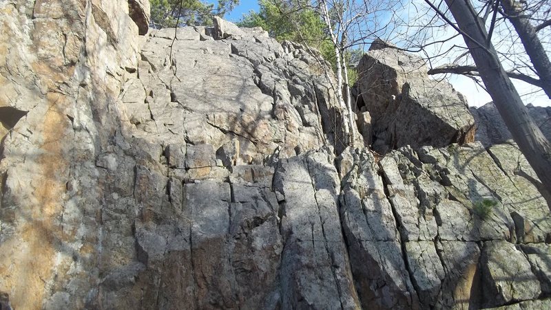 Better view of right side. Climb left of small birtch tree