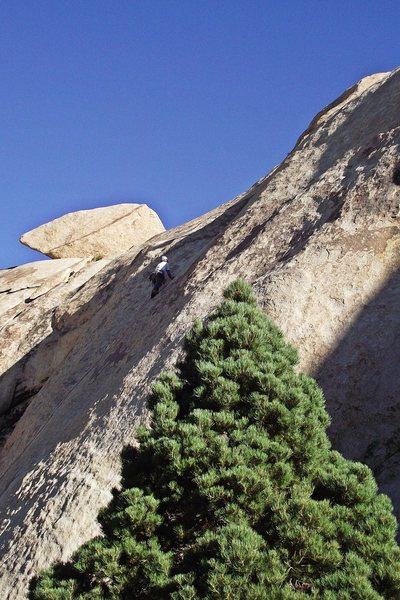 Out of the woods. Go either up and right, or left here to either belay depending on traffic conditions.