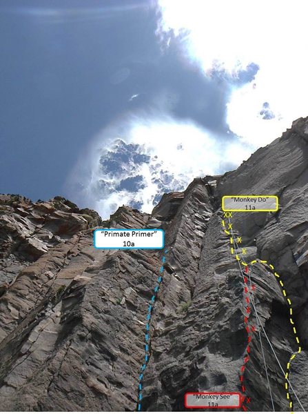 Topo of Monkey See, Monkey Do, and Primate Primer....three great routes