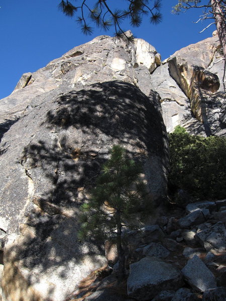 Looking up at the first two pitches from base of the pillar. The first bolt is located just above the tip of the little pine tree.