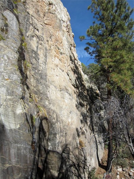 Doug on the FA. It is hard to spot him if you don't zoom in. He is near the top.