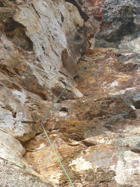Follow the Orange Streak!
