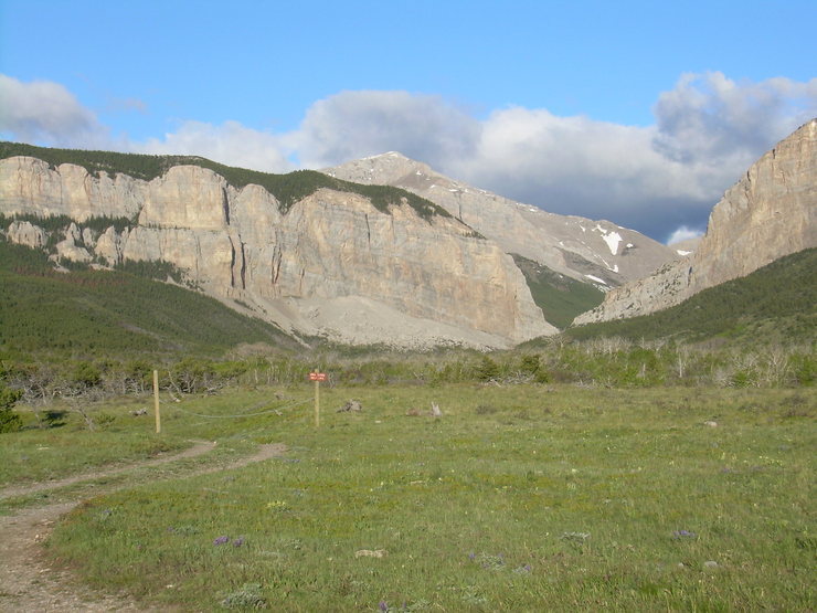 Blackleaf Canyon Montana