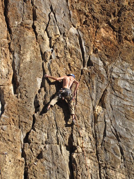 scale wall