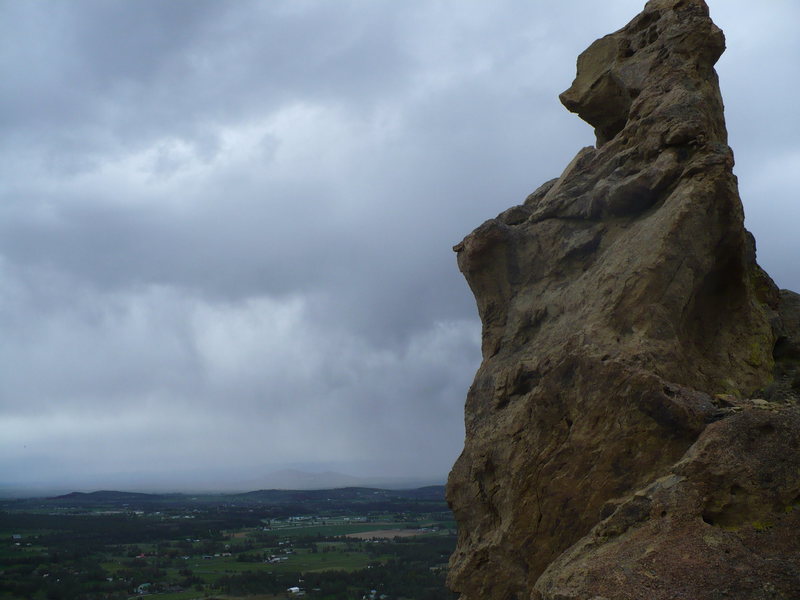 high on the marsupials traverse