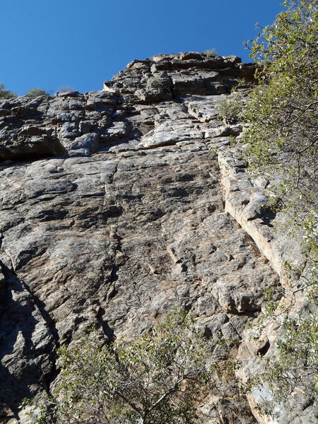 Looking up pitch one. There are a couple of hard to see bolts 10-15 feet off the ground.