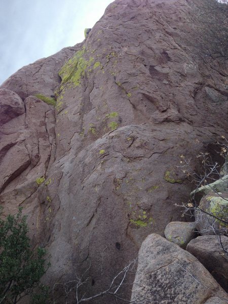 Fluorogreen follows the longest crack, the one just left of the green patch.