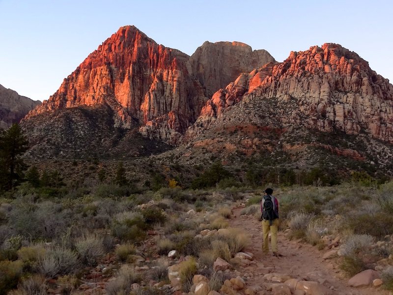 Hiking in towards Juniper Canyon and the Rainbow Wall. November 2012.