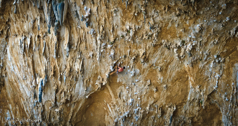 WAGbag Methodically Battles through the tufa forest for the OS