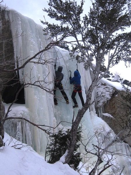 Final pillar pitch from the fat tree belay (and standard rappel).