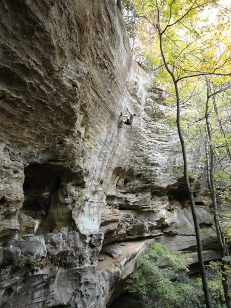 Beautiful Climb