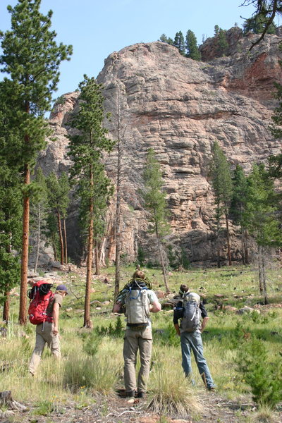 Standing below the south-facing Hemingway Wall of the Meadow Dome.