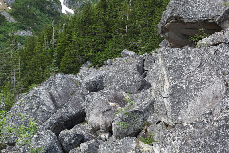 Lower talus field. The overhang in the upper right is part of a boulder that is 35 feet tall and about 80 feet long, with overhanging sections on many sides.