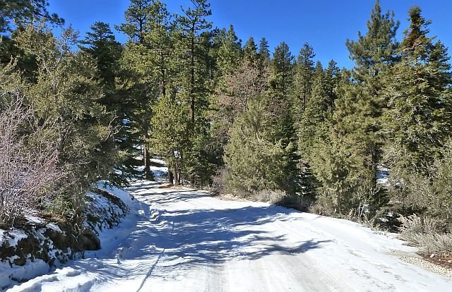 Polique Canyon (2N09), Holcomb Valley Area