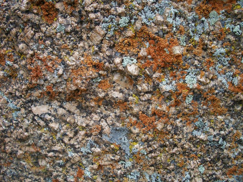 Vedauwoo lichen