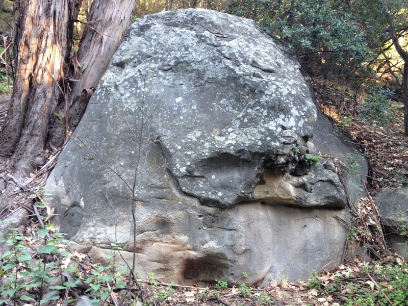 20 Bag Boulder