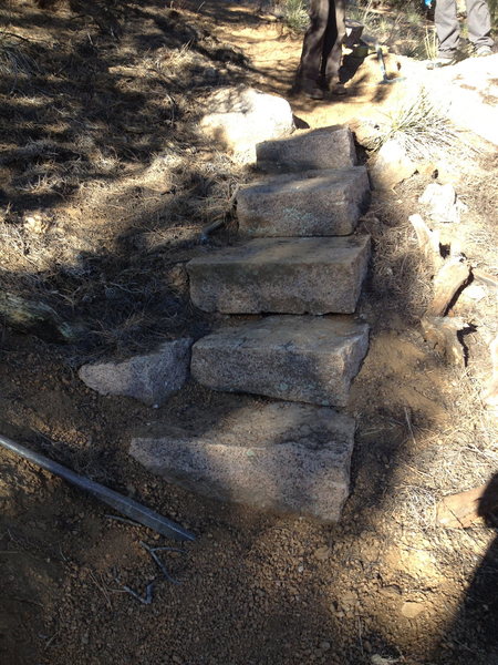New steps on Cynical Pinnacle trail.. <br>
By far the best 8 feet of the grueling hike