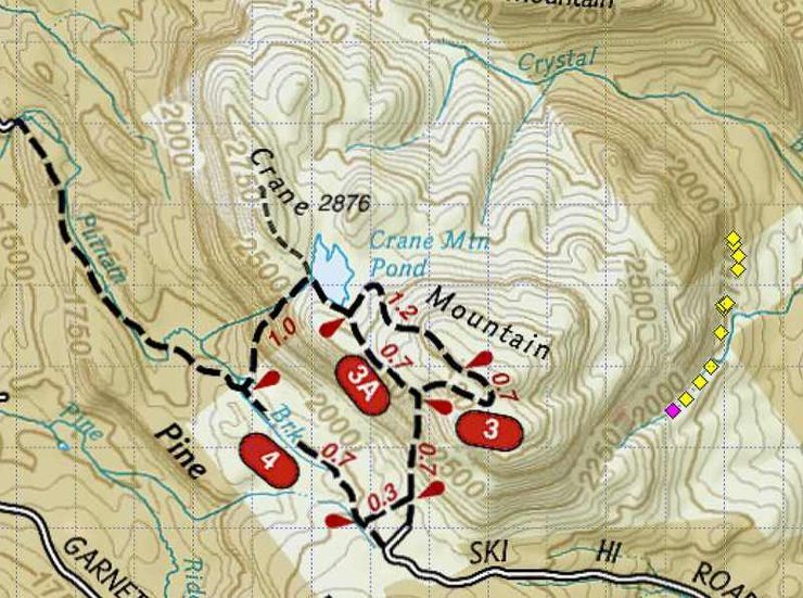 The small diamonds represent most of the SE side ice routes from the <em>Waterfall Wall</em> (pink diamond) northward to <em>Leap of Faith</em>, currently the northernmost ice route on this side of the mountain.<br>
Map courtesy of Topo! Nat'l Geographic