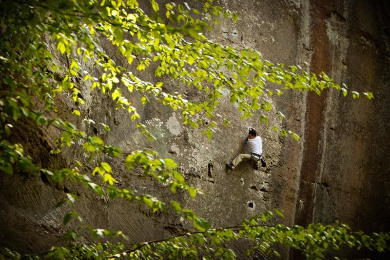 Nate stickin it to Amarillo Sunset (5.11b) at Prendergrass in the Red River Gorge, KY. April 2012. danallardphoto.com