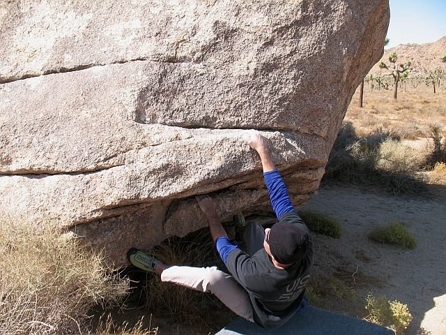 Press Release (V1), Joshua Tree NP