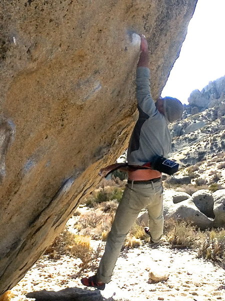 Dyno!