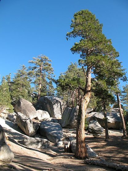 Big Greeny Boulder Area, Black Mountain