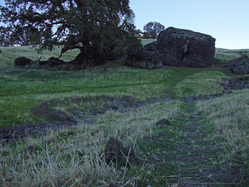 Climbing on the Mad Cow Boulder