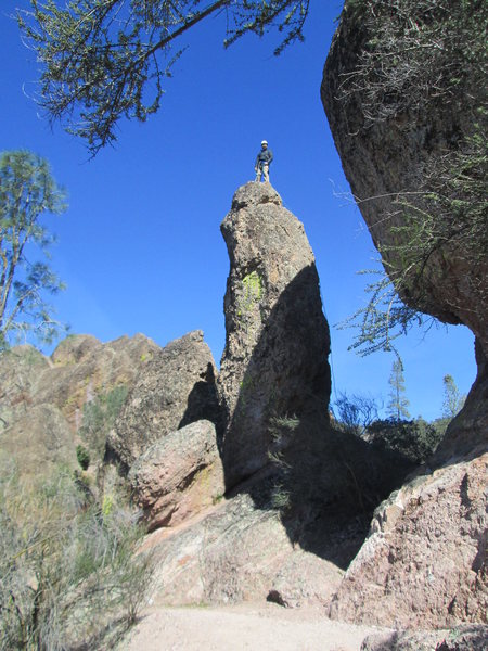 Daniel on top of Piglet Pinnacle