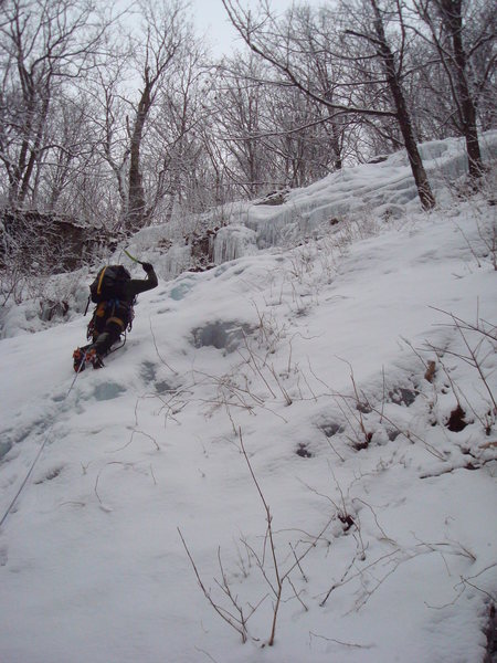 Mike Prince leads the FA of <em>Via</em>.