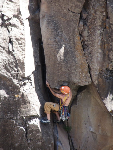 detail view of the start, way down low on queenfolia